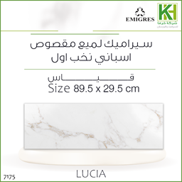 عرض تفاصيل بلاط جدران لميع 30×90 سم اسباني لوسيا
 صورة بلاط جدران لميع 30×90 سم اسباني لوسيا